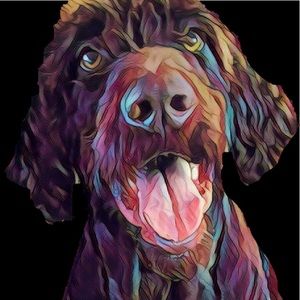 Meet your Posher, Linda